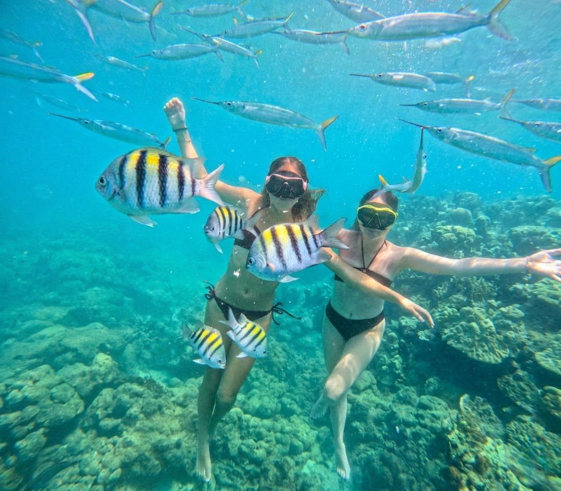 Barú, Snorkel & Mapaches (Day Tour)
